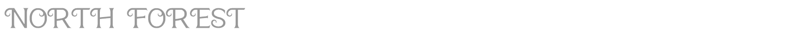 North Forest font preview